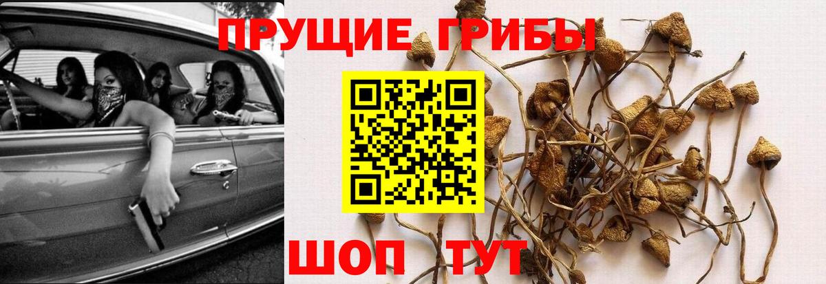 Галлюциногенные грибы ЛСД Усть-Илимск